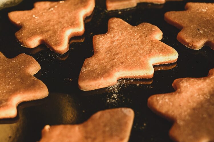 Wollongong’s Kitchen Renaissance: How Local Designers Are Redefining the Space